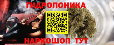 индика Конаково