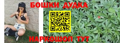 индика Конаково