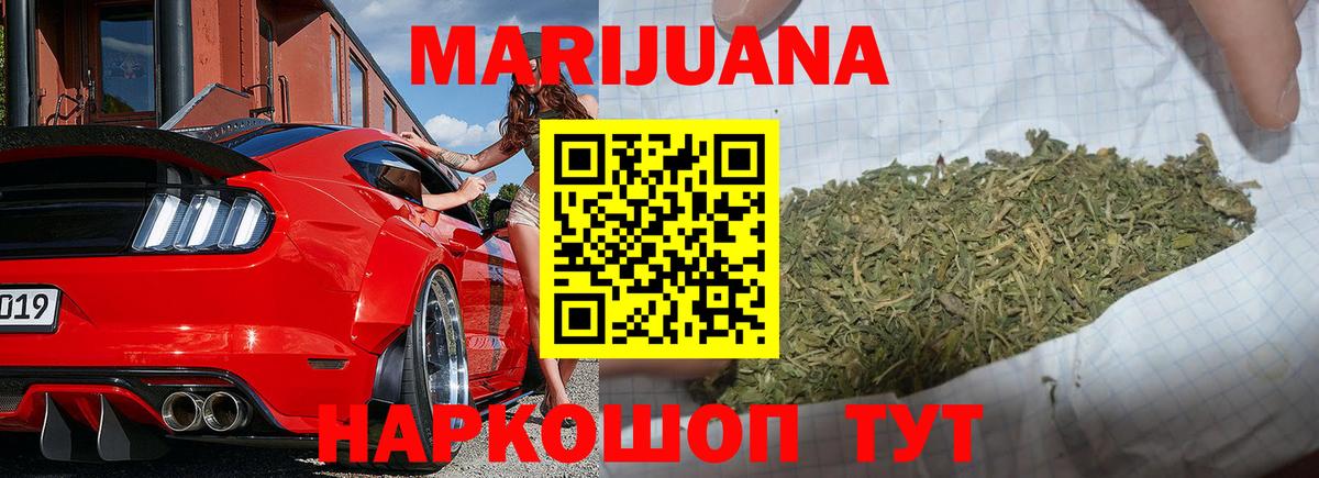 Конопля сатива Йошкар-Ола